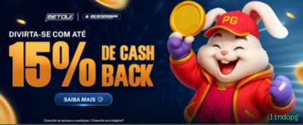 Imagem promocional da lindopg mostrando a plataforma e suas vantagens